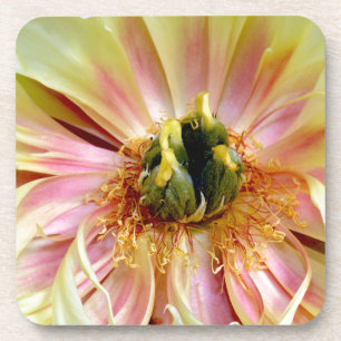 Yellow Peony.jpg Coaster
