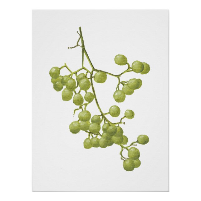 Yellow peppercorns - Botanical Study 1 Poster (Front)