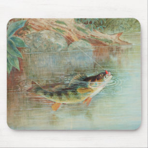 Yellow Perch by S.A. Kilbourne, Vintage Fish Mouse Mat