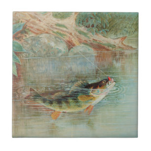 Yellow Perch by S.A. Kilbourne, Vintage Fish Tile