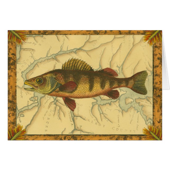 Yellow Perch on Map (Front Horizontal)