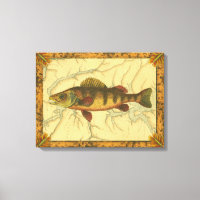 Yellow Perch on Map