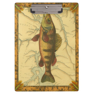 Yellow Perch on Map Clipboard