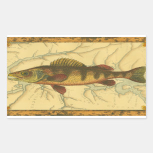 Yellow Perch on Map Rectangular Sticker