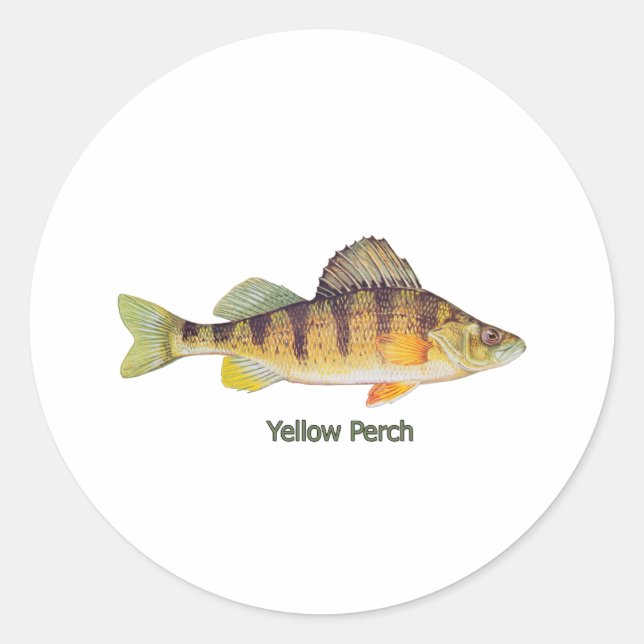 Yellow Perch (titled) Classic Round Sticker (Front)