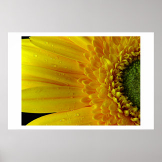Yellow Petals Poster