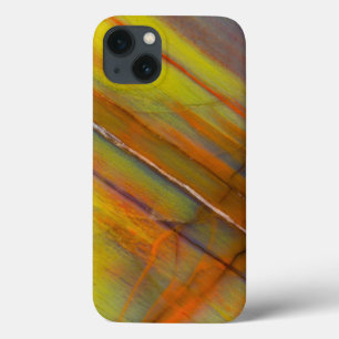Yellow Petrified Wood iPhone 13 Case