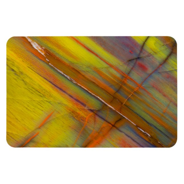 Yellow Petrified Wood Magnet (Horizontal)