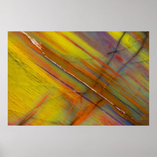 Yellow Petrified Wood Poster (Front)