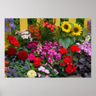 Yellow picket fence with flower garden in poster