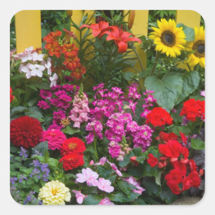 Yellow picket fence with flower garden in square sticker