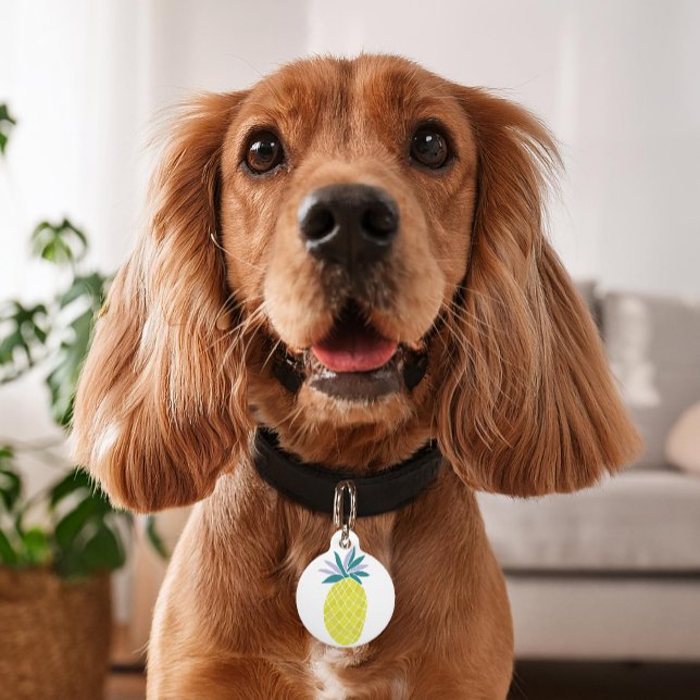 Yellow Pineapple Personalised Pet Tag (Creator Uploaded)