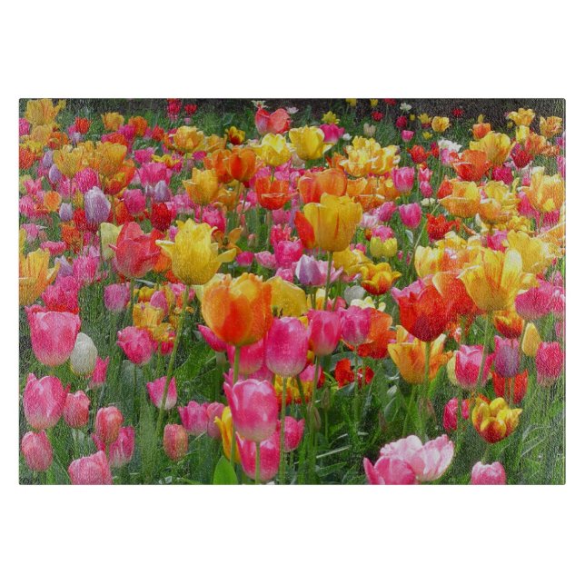 Yellow pink orange red tulips cutting board (Front)