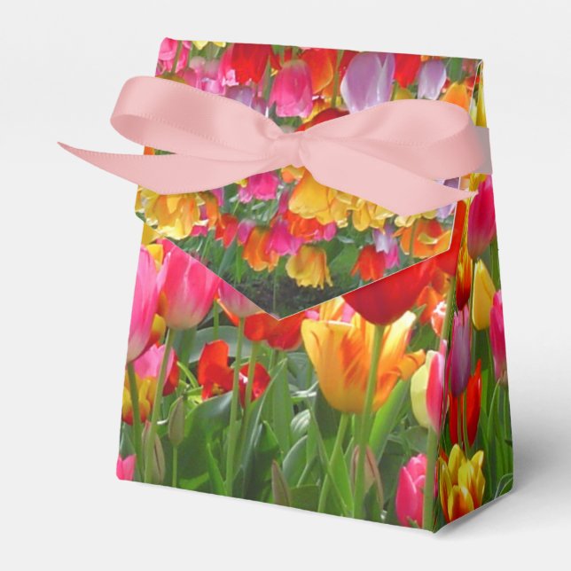 Yellow pink orange red tulips favour box (Front Side)