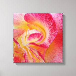 yellow pink petals canvas print