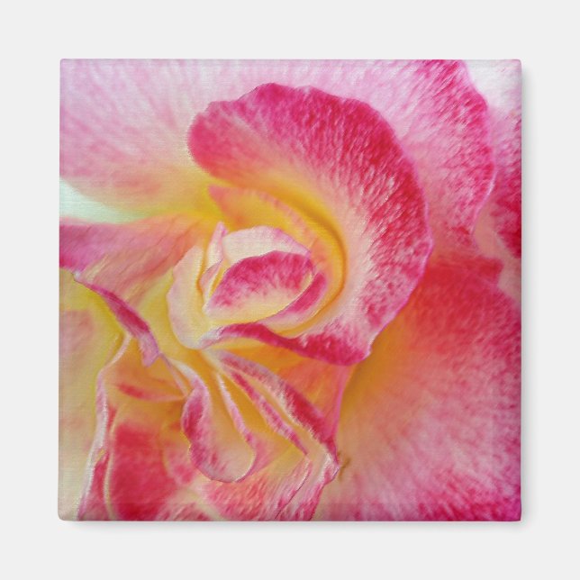 yellow pink petals magnet (Front)