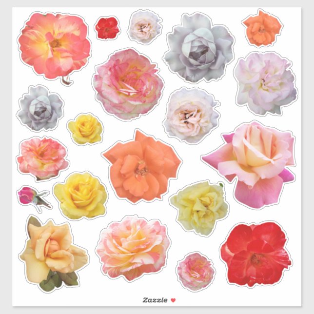 Yellow Pink Red Orange Cutout Rose Photos (Sheet)