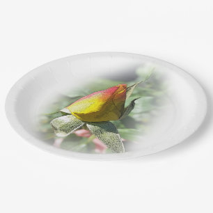 yellow pink rosebud paper plate