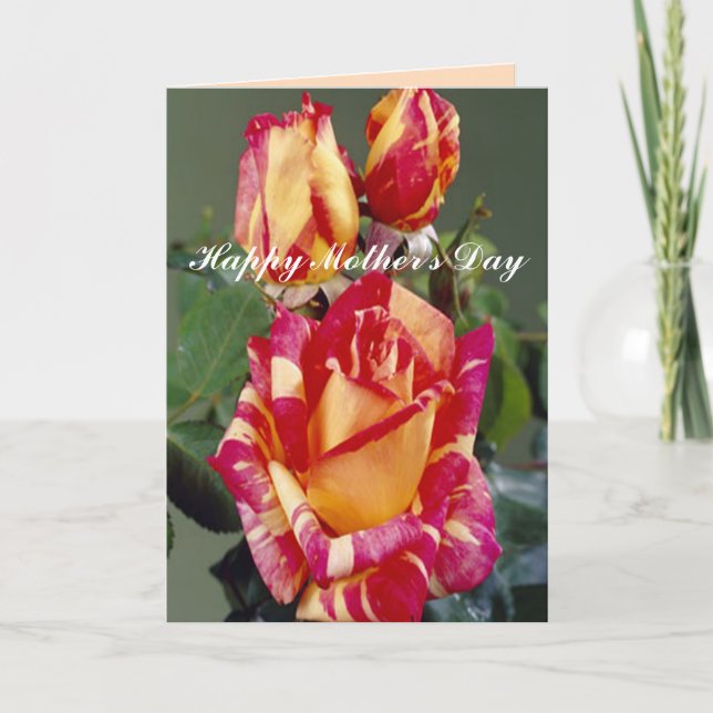 Yellow Pink Roses Greeting Card (Front)