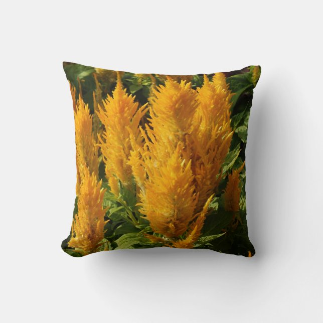 Yellow Plants Photo Throw Cushion 41 cm x 41 cm (Front)