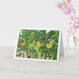 Yellow Plum Tree Portrait Card
