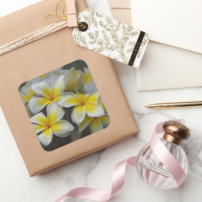 Yellow Plumeria Flower, Hawaii Photography Square Sticker (Gifting)