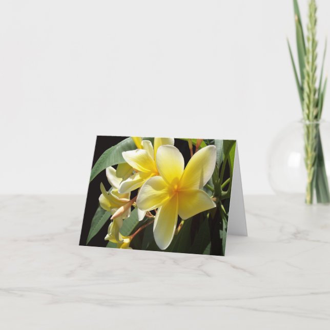 Yellow Plumeria  Photo Folded Note Card (Front)
