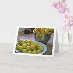 Yellow Plums in Bowl and Colander Card