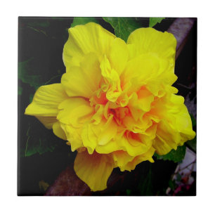 Yellow pomegranate flower tile