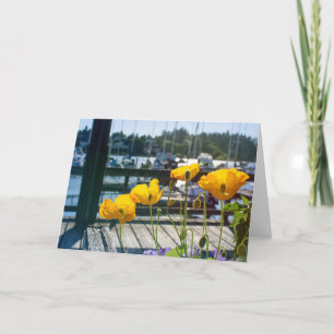 Yellow Poppies at the Boat Marina Port Blank Card