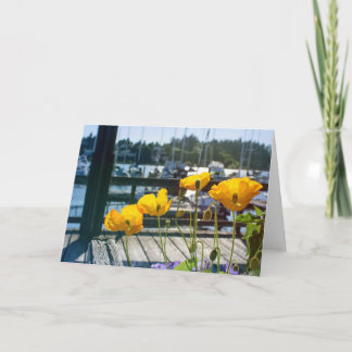 Yellow Poppies at the Boat Marina Port Blank Card