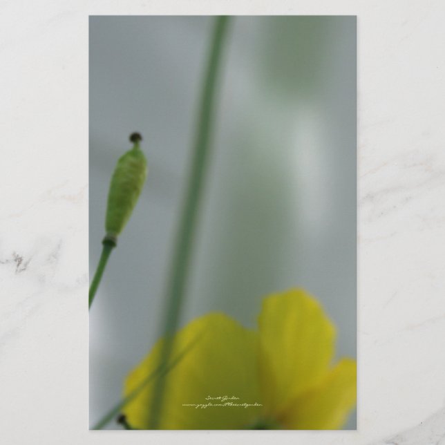 Yellow Poppies shade 12 Personalizable Stationery (Front)