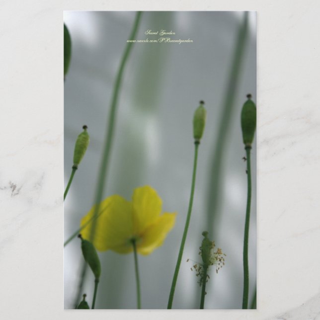Yellow Poppies shade 3 Personalised Stationery (Front)