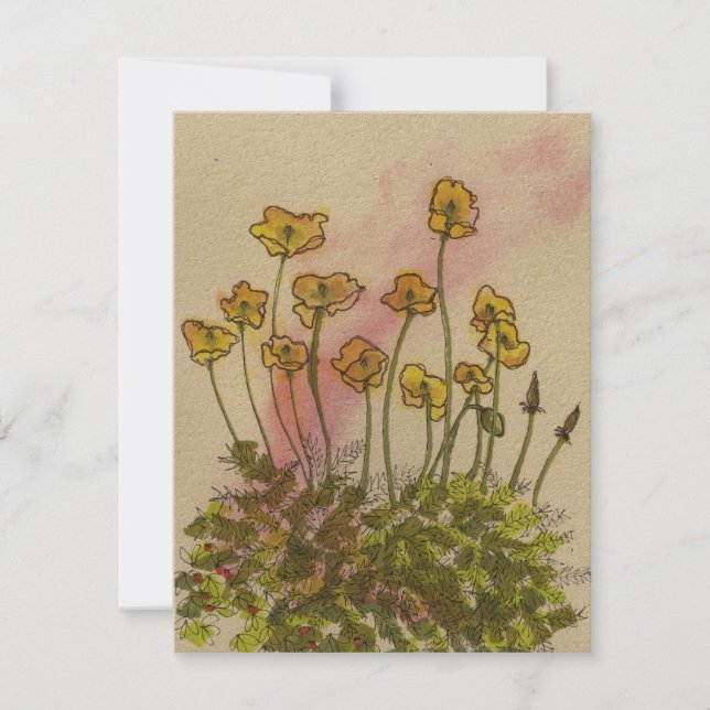 Yellow Poppies Wildflowers Greetings Card (Front)