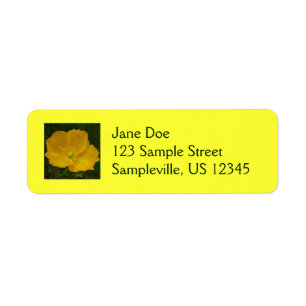 Yellow Poppy Alaskan Wildflower Floral