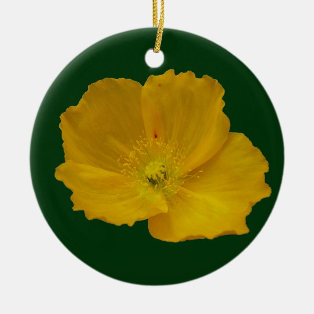 Yellow Poppy Alaskan Wildflower Floral Ceramic Tree Decoration (Front)