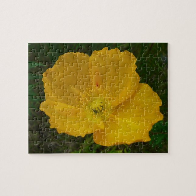 Yellow Poppy Alaskan Wildflower Floral Jigsaw Puzzle (Horizontal)