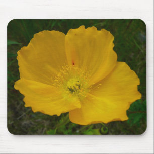 Yellow Poppy Alaskan Wildflower Floral Mouse Mat