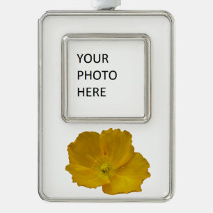 Yellow Poppy Alaskan Wildflower Floral Silver Plated Framed Ornament