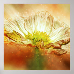 Yellow Poppy Flower Poster
