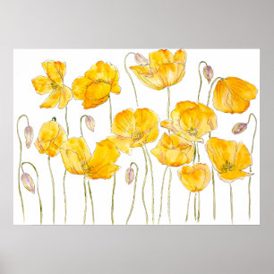 yellow poppy ink and watercolor  poster