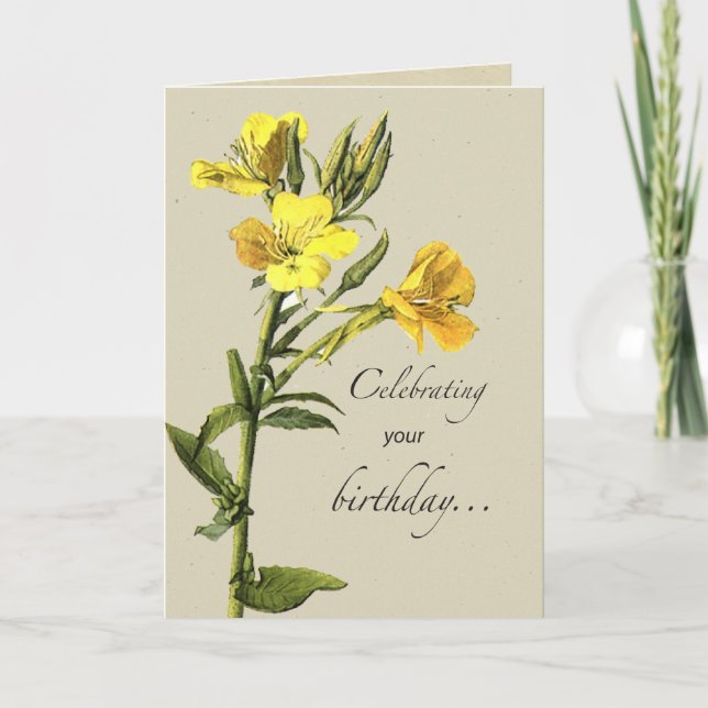 Yellow Primrose Birthday Card (Front)