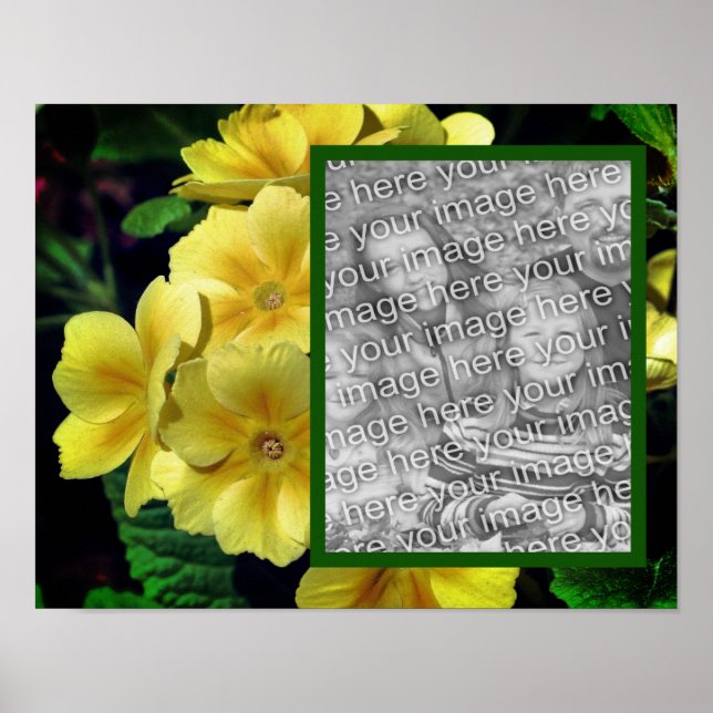 Yellow Primrose Flowers Add Your Photo  Poster (Front)