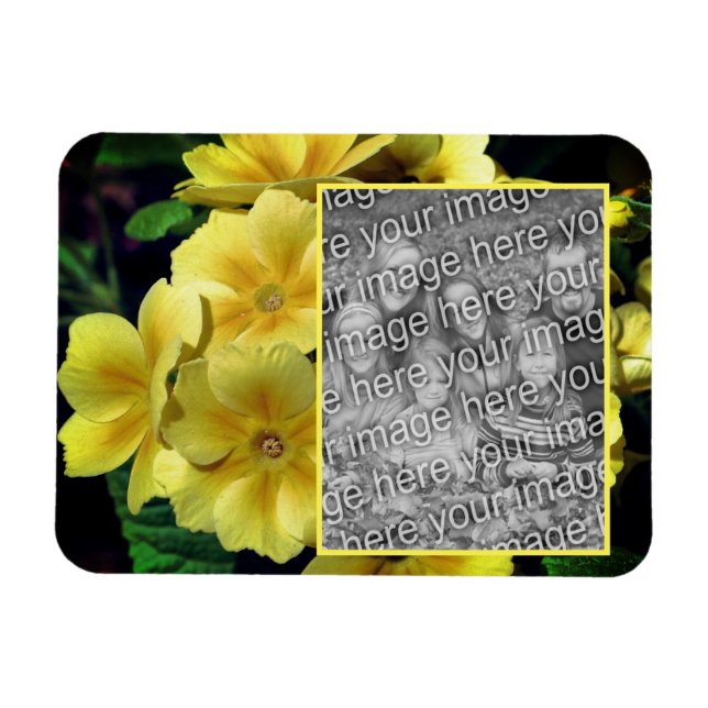 Yellow Primrose Flowers Create Your Own Photo  Magnet (Horizontal)