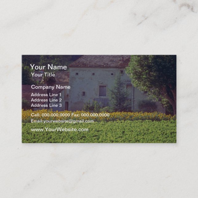 yellow Provencal mas near Carpentras in field of s Business Card (Front)