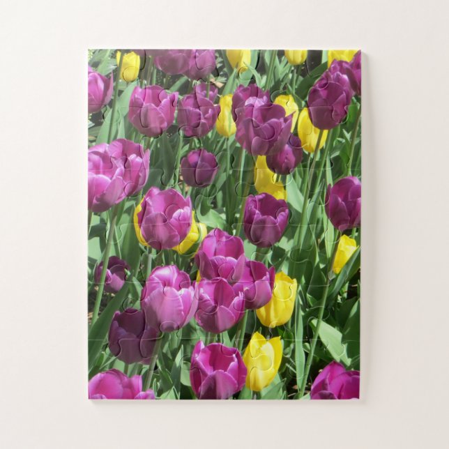 Yellow & Purple Tulip Flowers Jigsaw Puzzle (Vertical)