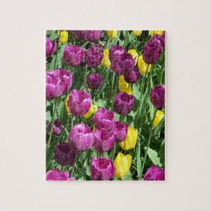 Yellow & Purple Tulip Flowers Jigsaw Puzzle