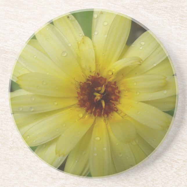 Yellow Raindrops Marigold Coasters (Front)