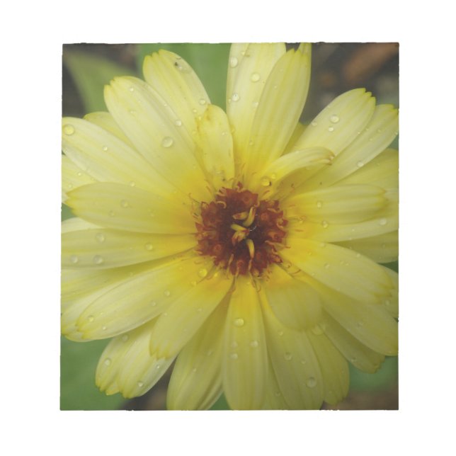 Yellow Raindrops Marigold Notepad (Front)