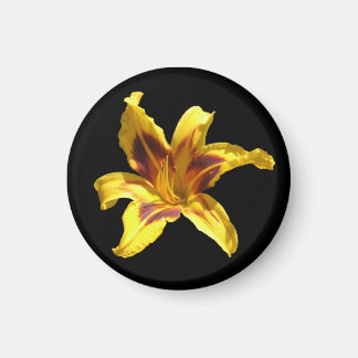 Yellow & Red Lily Magnet